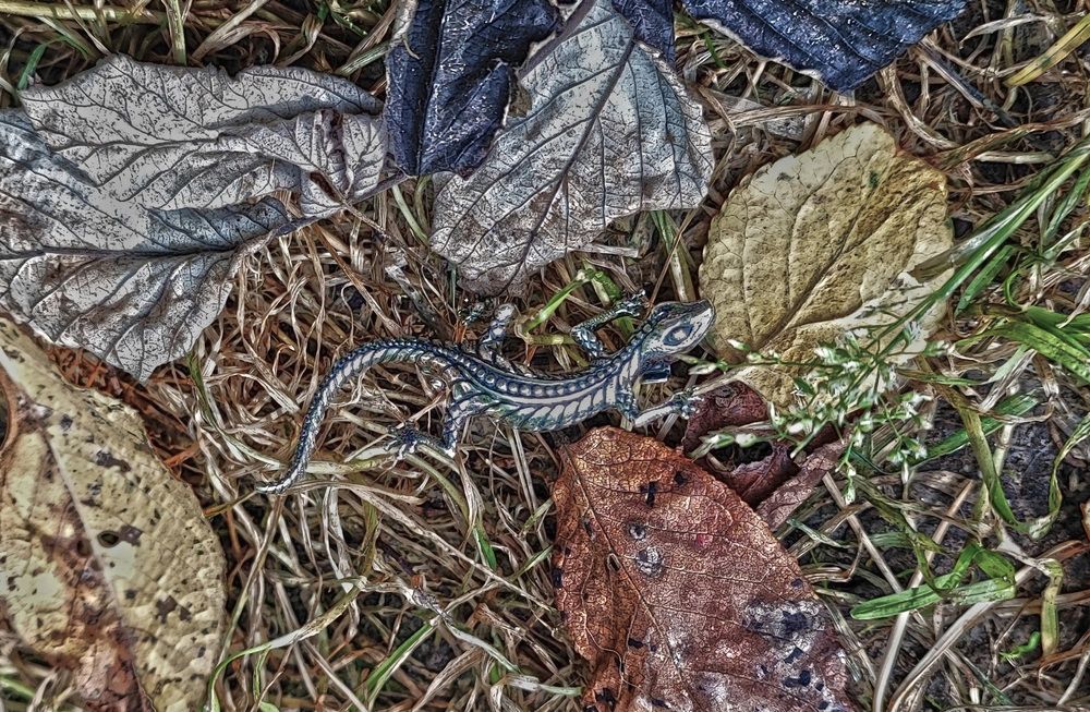 Photograph by Елена Юдина