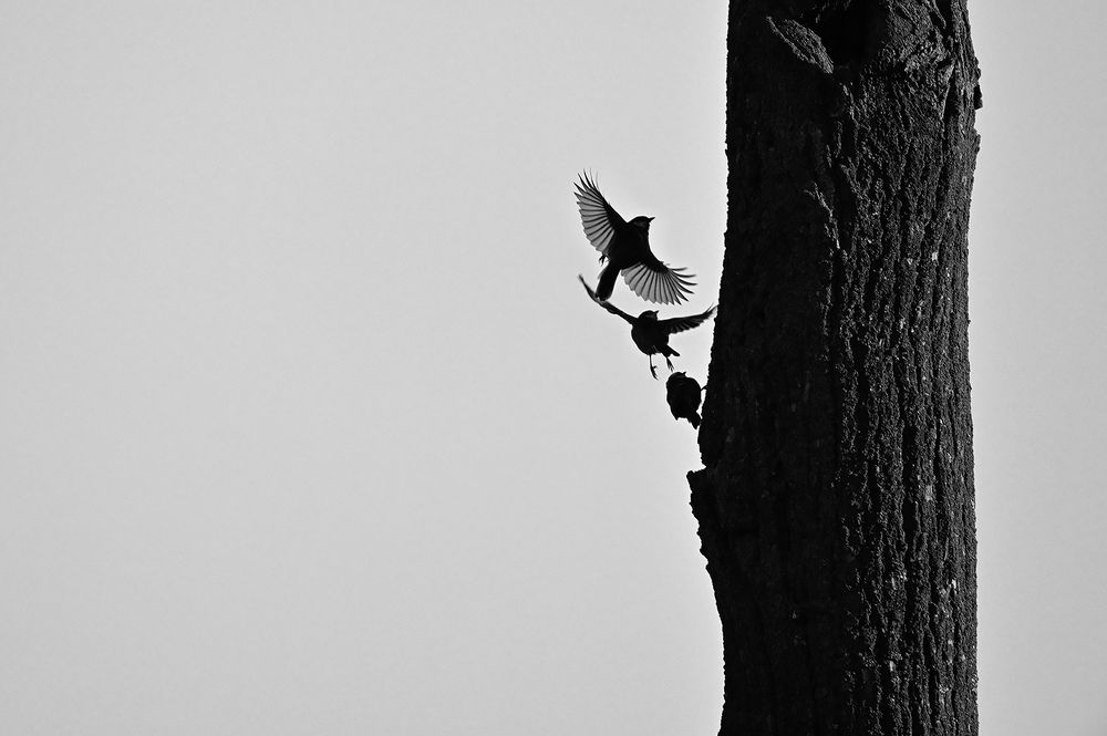 Photograph by Дмитрий Ткаченко