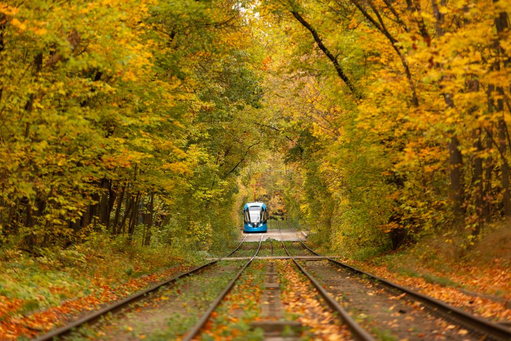 Photograph by Александр Ермоленко