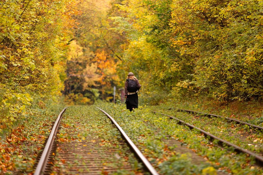 Photograph by Александр Ермоленко