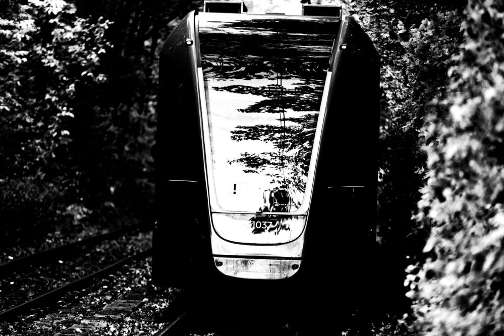 Photograph by Александр Ермоленко