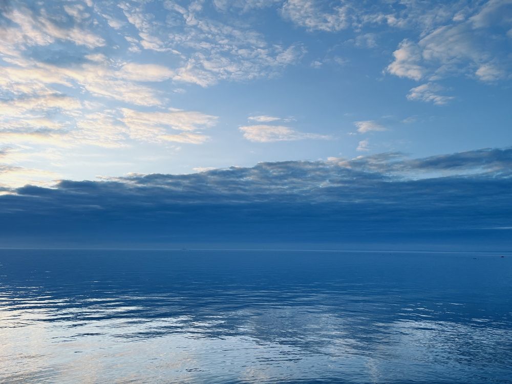 Фотография автора Регина Левикина