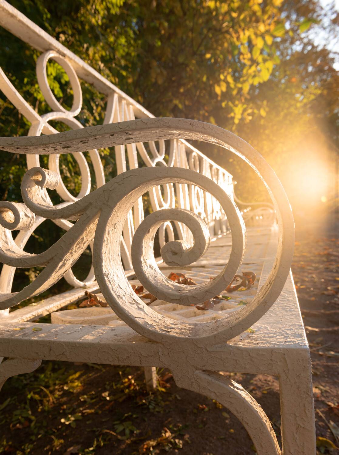 Фотография #12684886