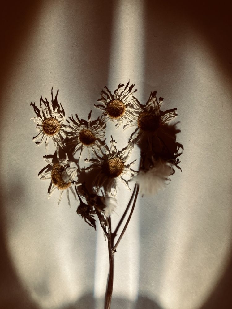 Дыхание осени