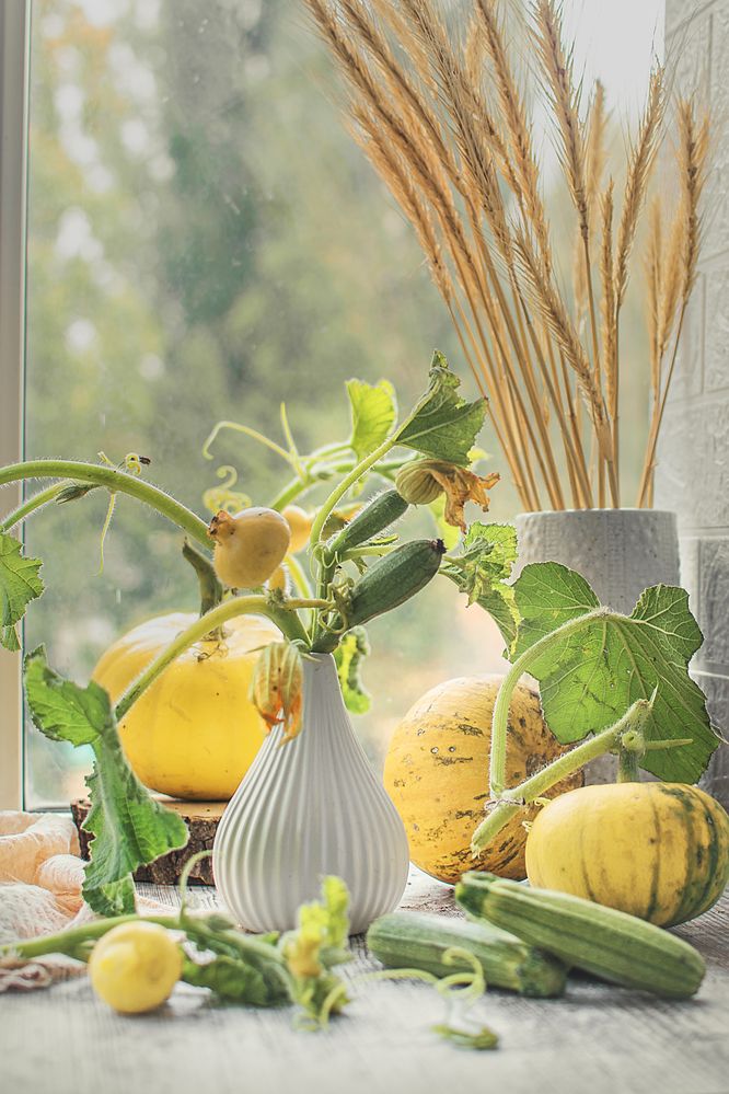 Photograph by Альфия Агзами