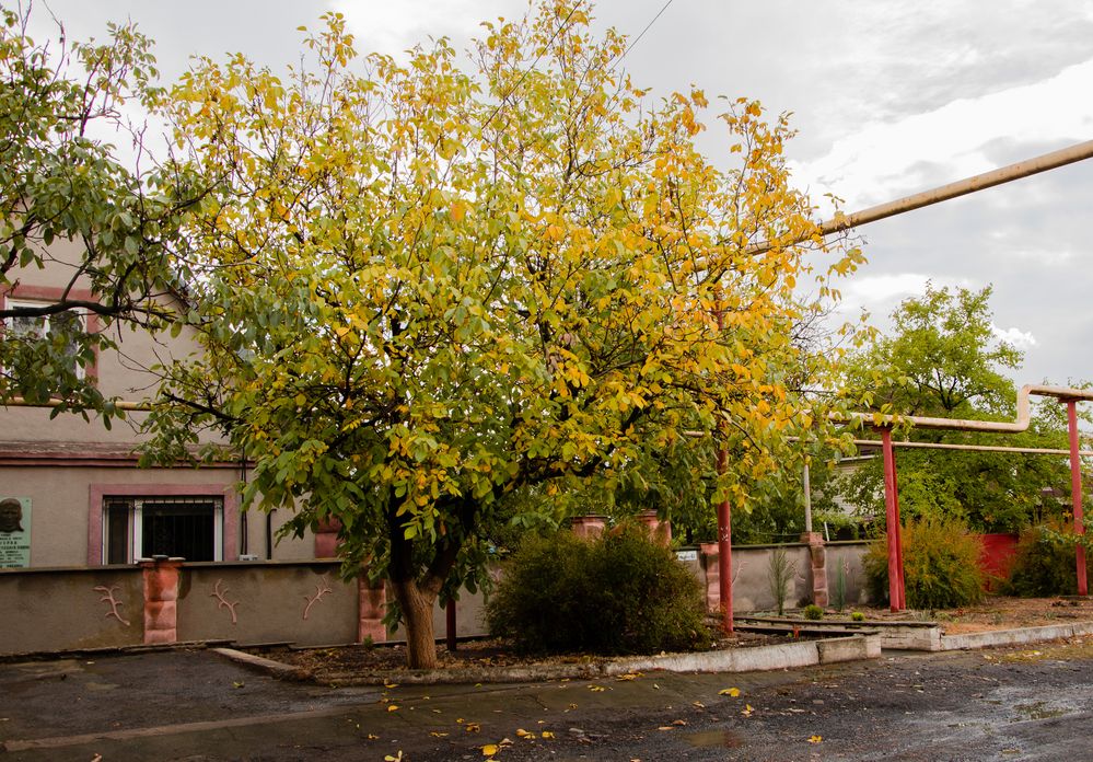 Photograph by Дмитрий Тютюнник