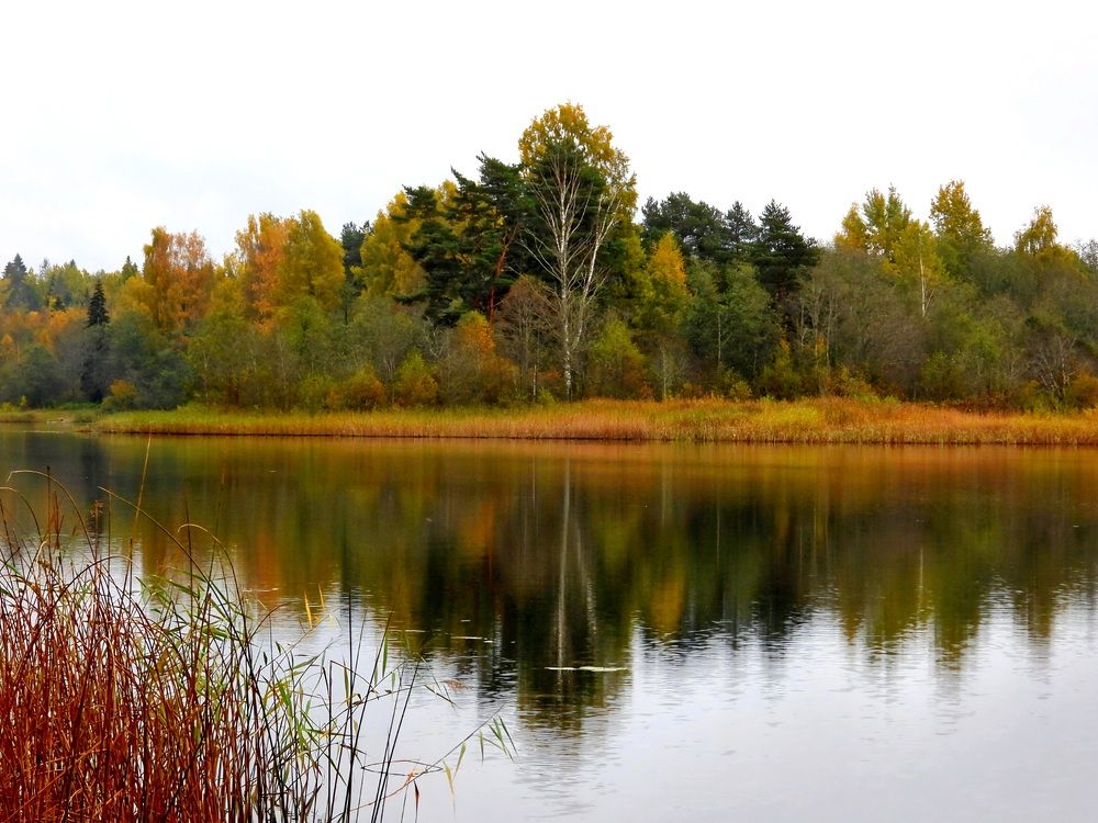 Photograph by Александр Шаварин