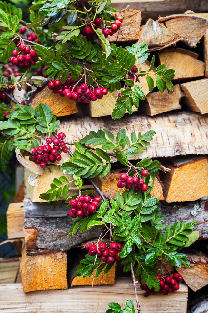 Photograph by Галина Юдина