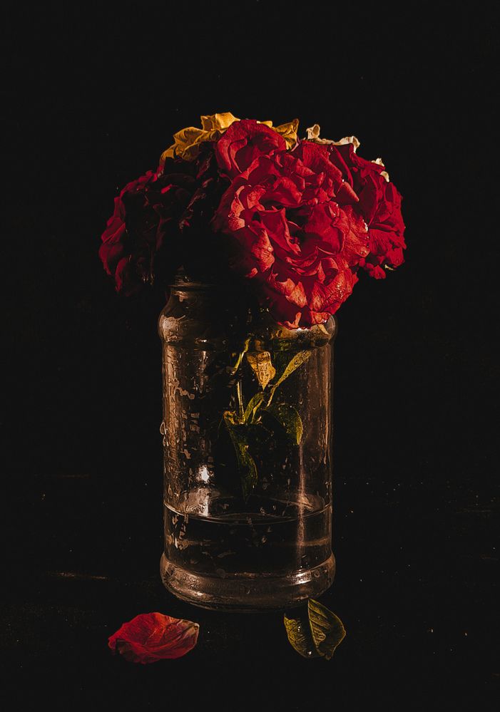 Photograph by Ghufran Alim