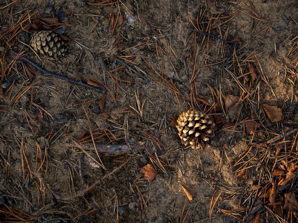 Photograph by Шейко Анна