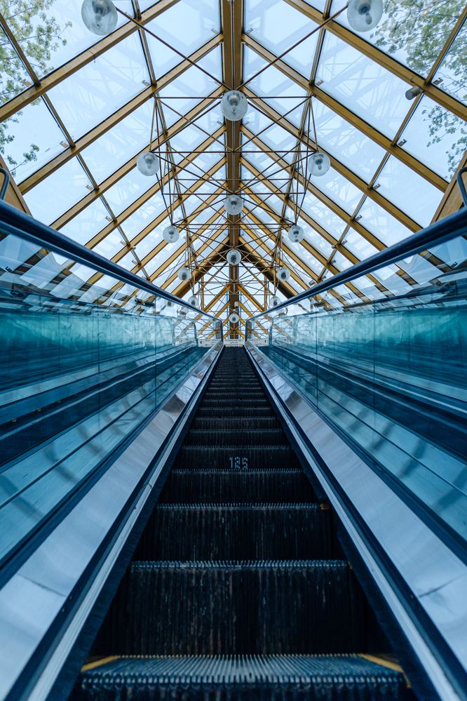 Photograph by Старков Валерий