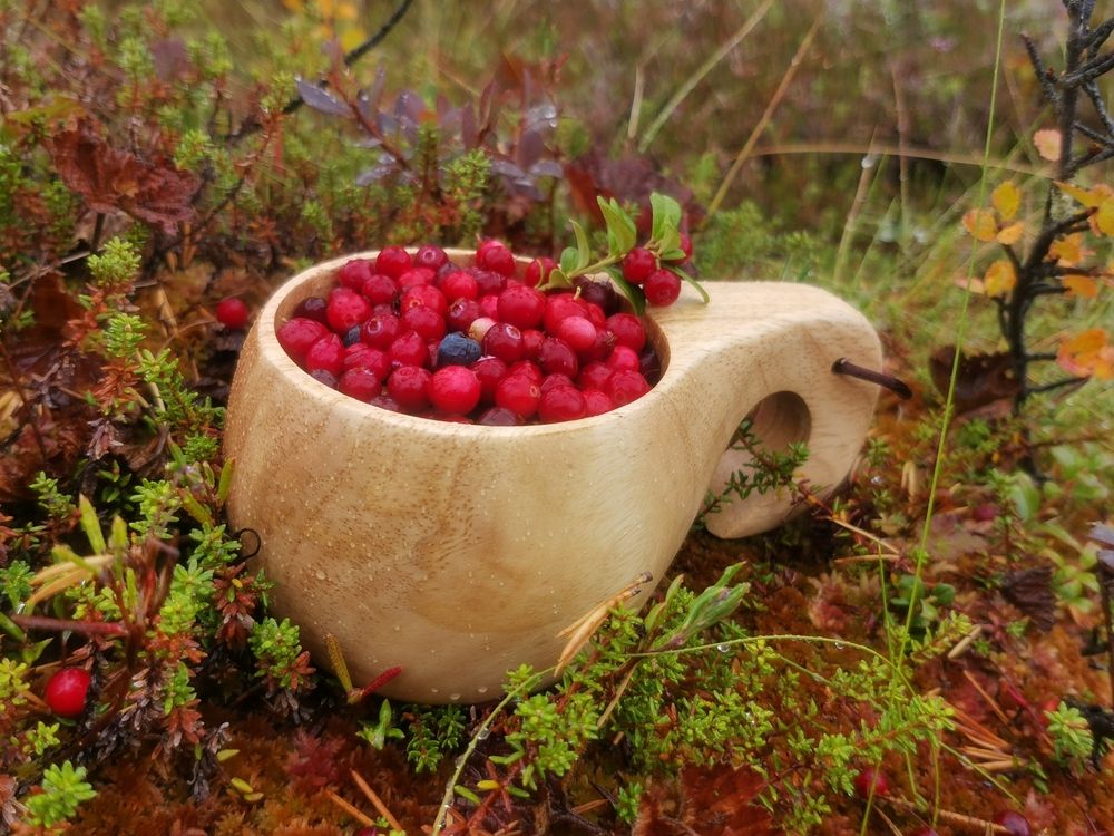 Фотография автора Sparc-jr