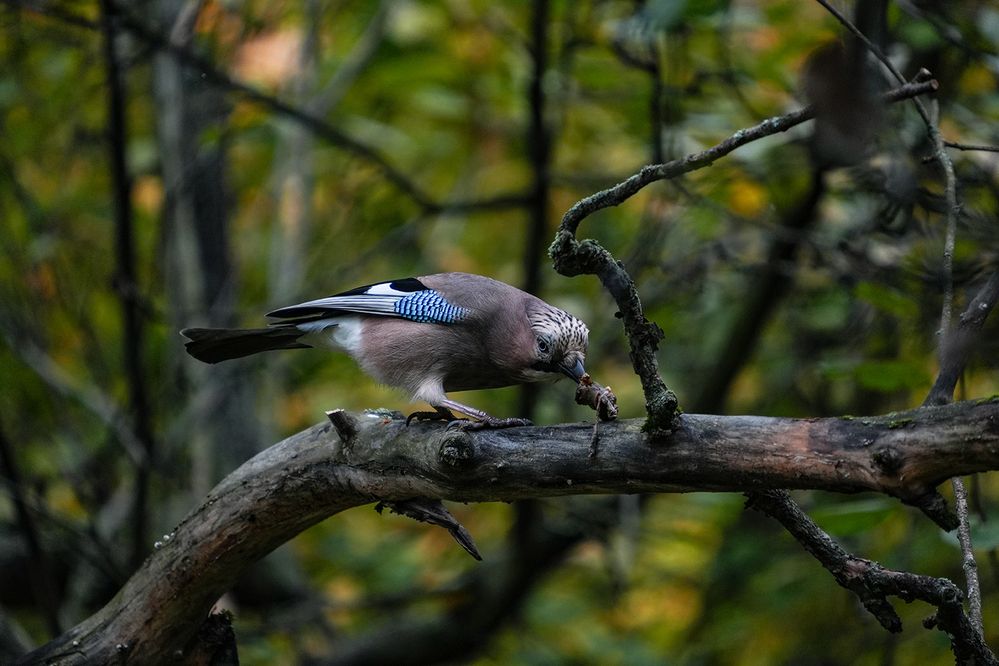 Photograph by Духанин Сергей