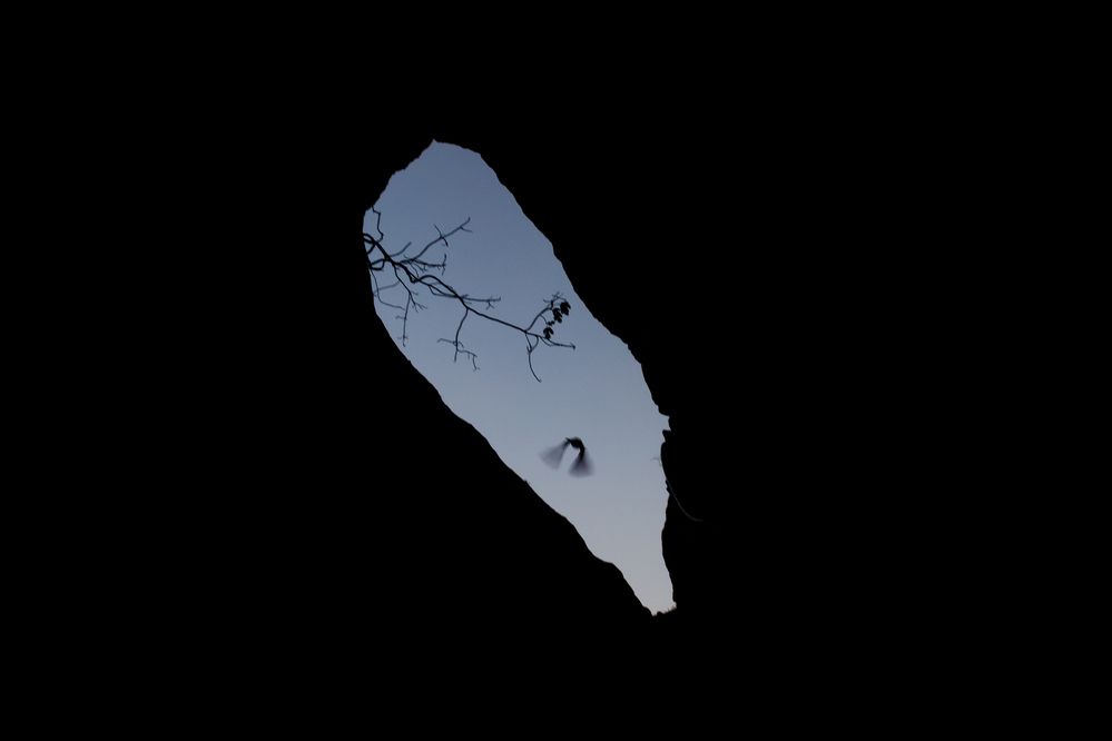 Photograph by seyed mostafa yousefi