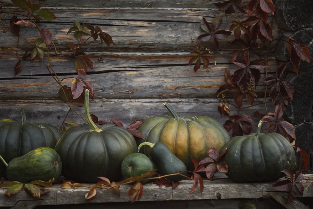 Фотография автора Ольга