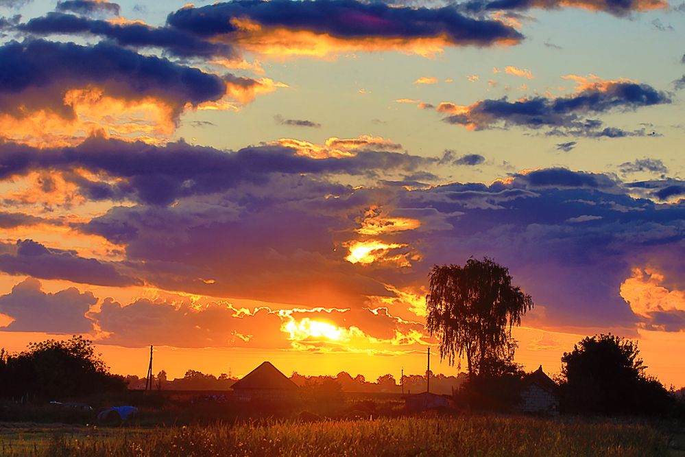 Photograph by Николай Протасеня