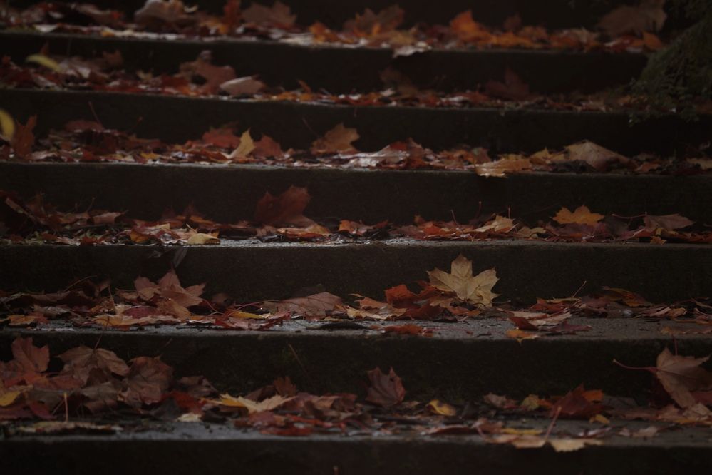 Фотография автора Ольга