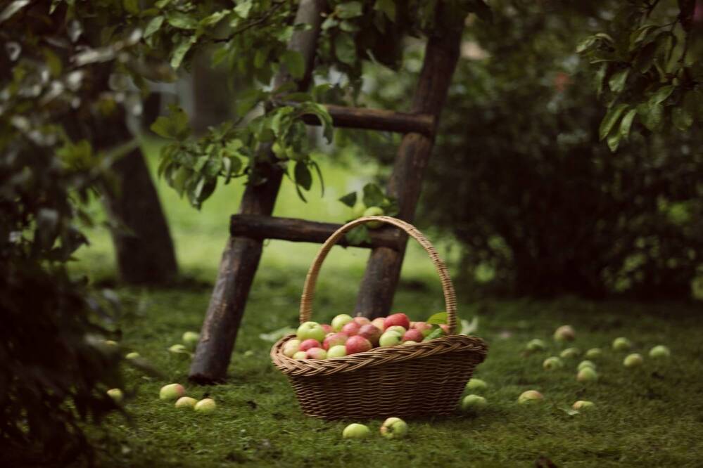 Фотография автора Ольга