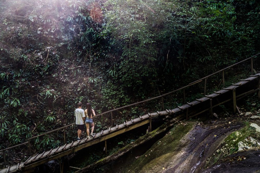Фотография автора Василиса Новикова