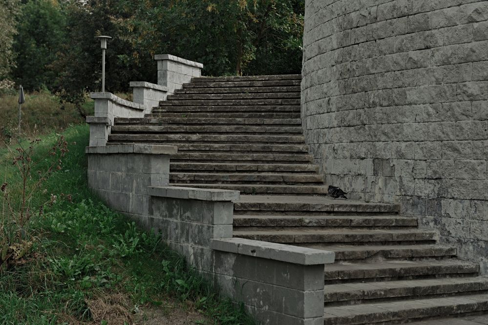 Photograph by тимофей