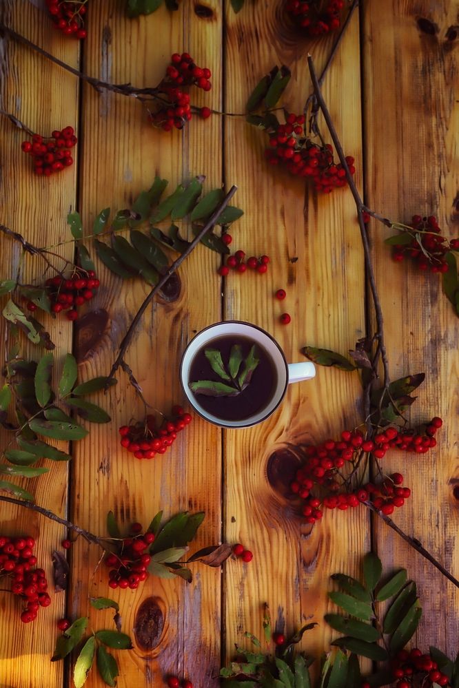 Photograph by Руслана Ковалевская