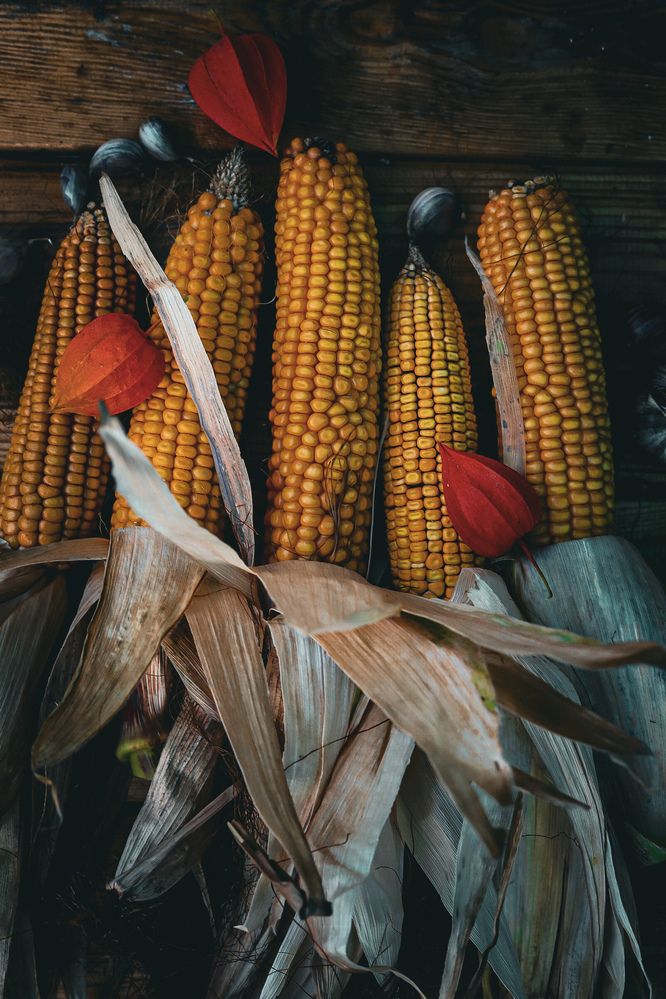 Photograph by Руслана Ковалевская