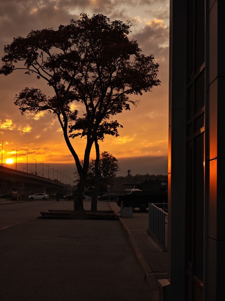 Фотография автора Наташа Данилова