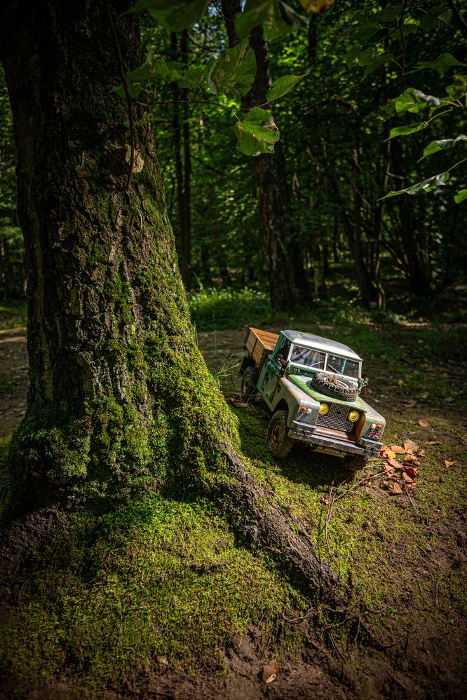 Фотография автора Витас Черняускас