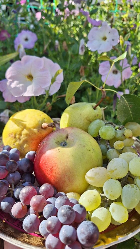 Photograph by Наталья Вялых