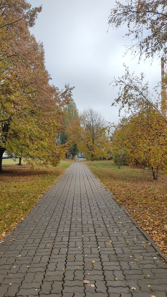 Photograph by Ксения Голубкова