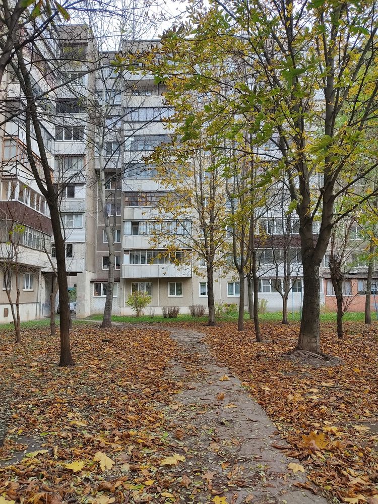 Photograph by Ксения Голубкова