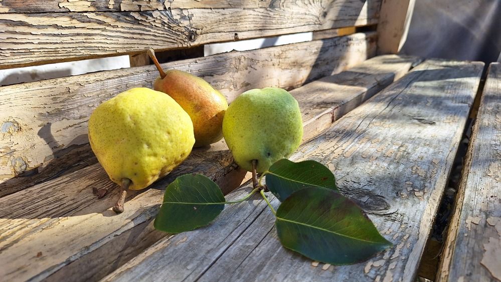 Photograph by Наталья Вялых