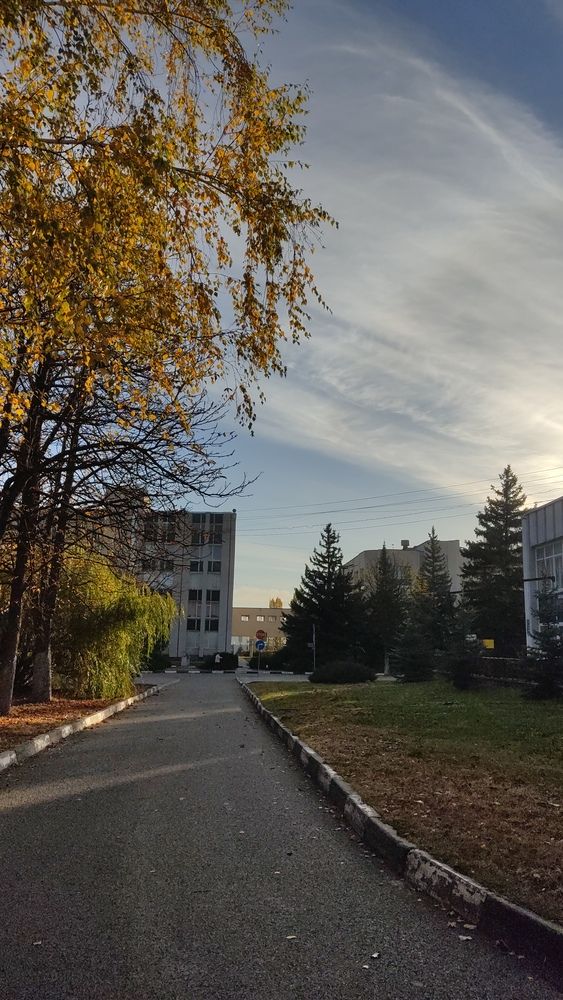 Photograph by Ксения Голубкова