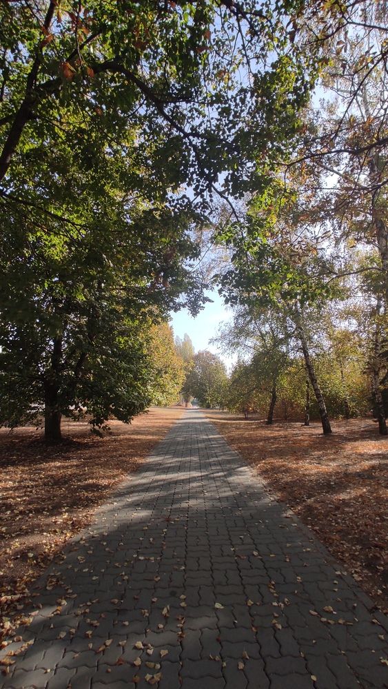 Photograph by Ксения Голубкова