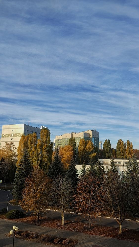 Photograph by Ксения Голубкова