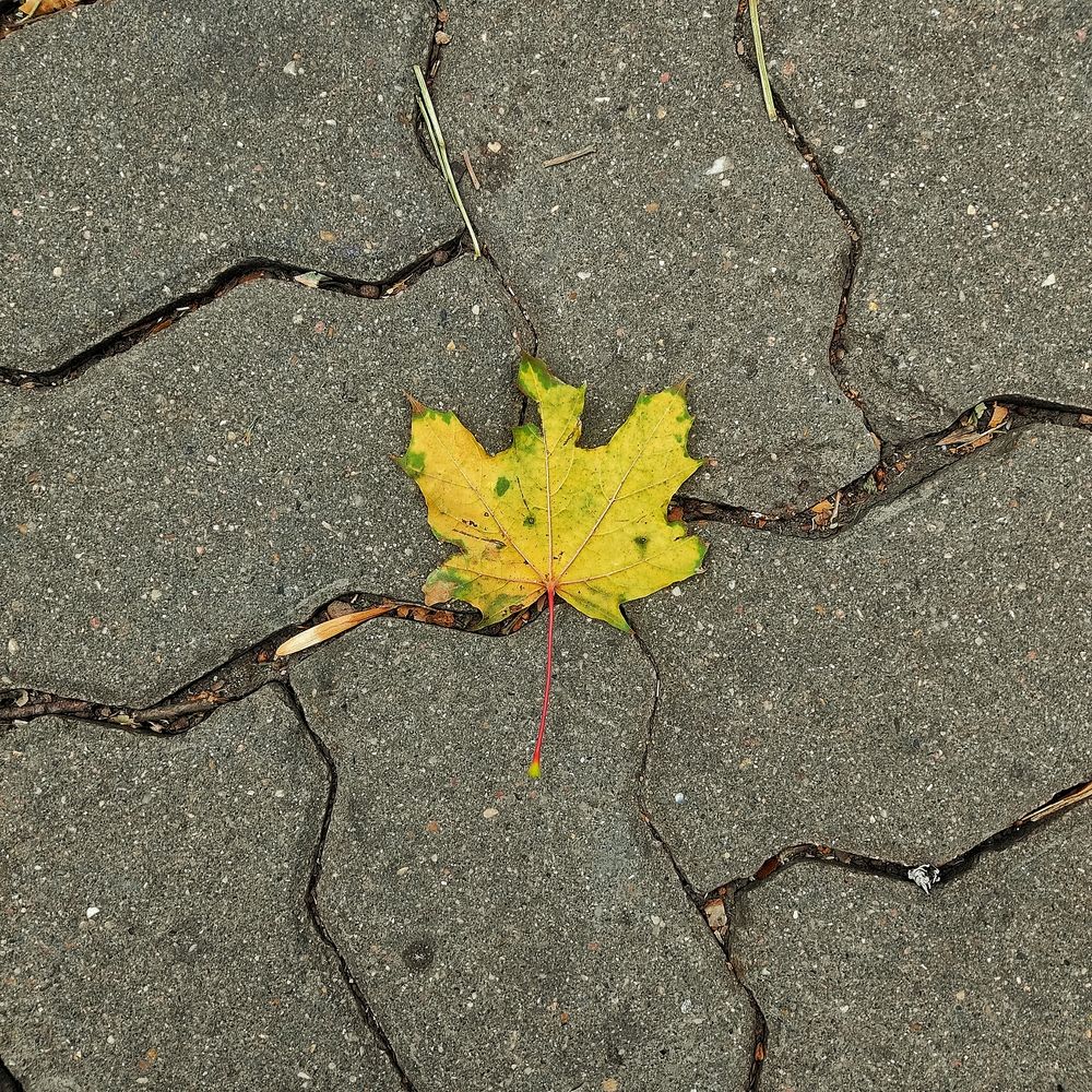 Photograph by Ксения Голубкова