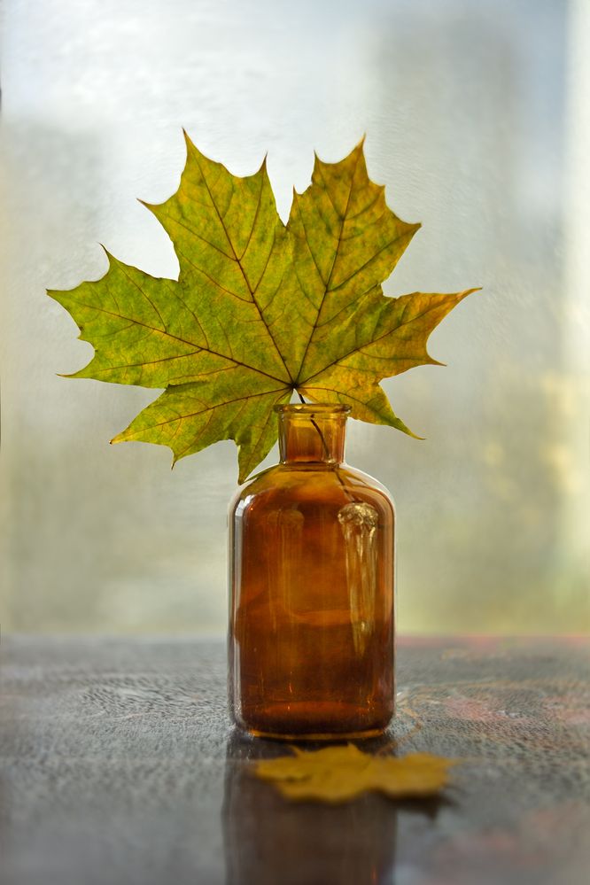 Photograph by Наталья Комиссарова