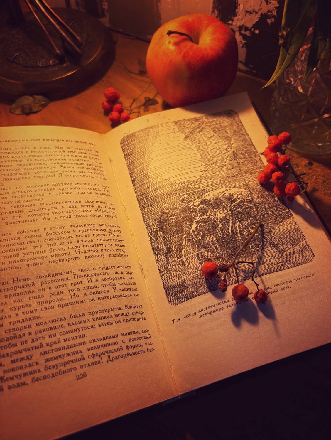 Photo #12685441