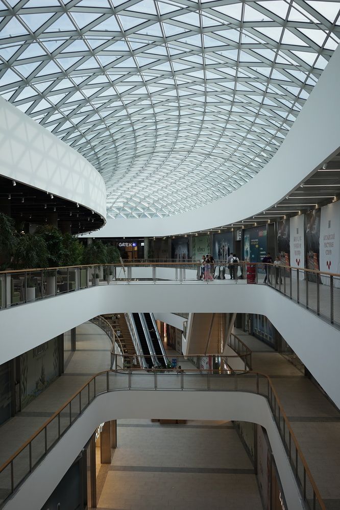 Фотография автора Василиса Новикова