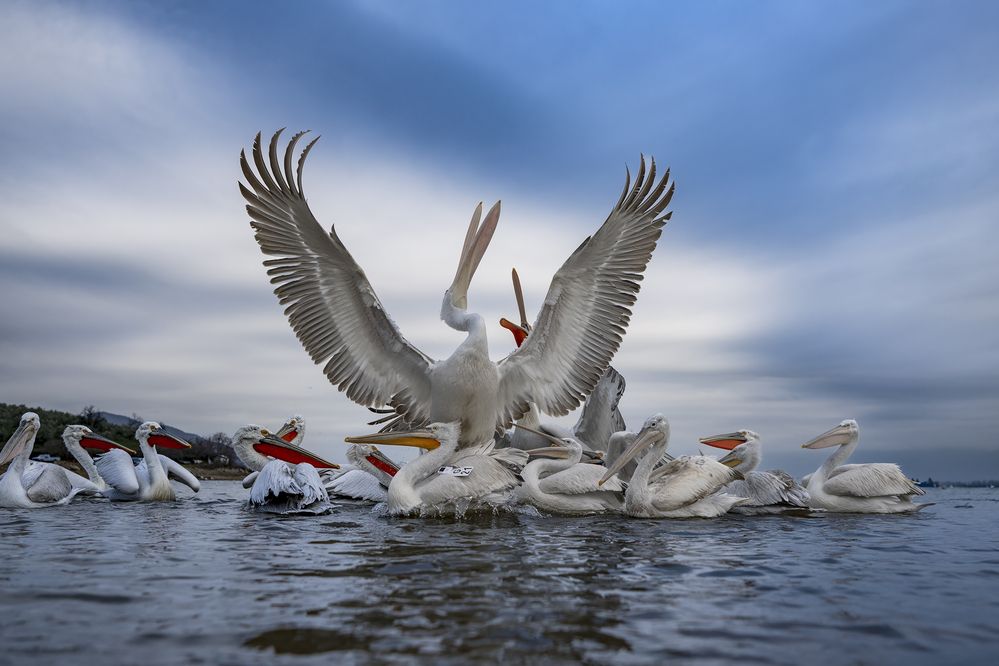Photograph by Ernestas Balcikonis