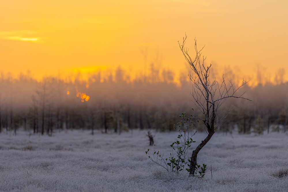 Photograph by Александр Лис