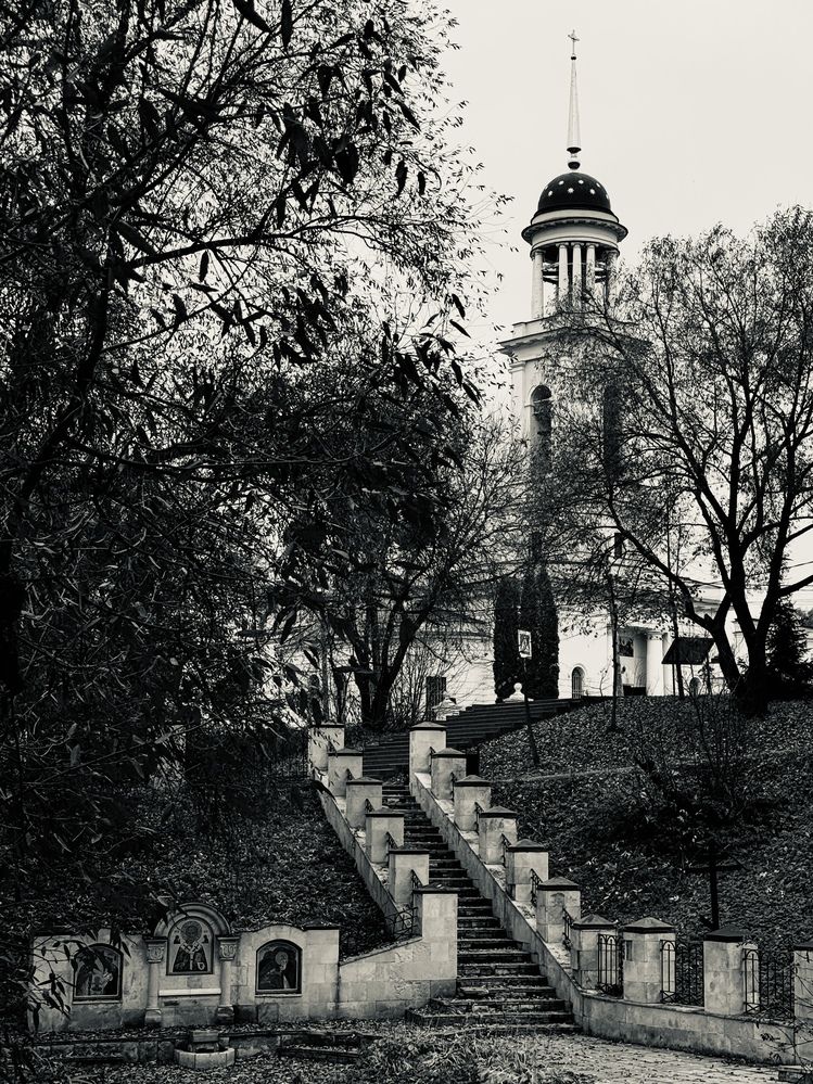 Photograph by Olga Bokareva