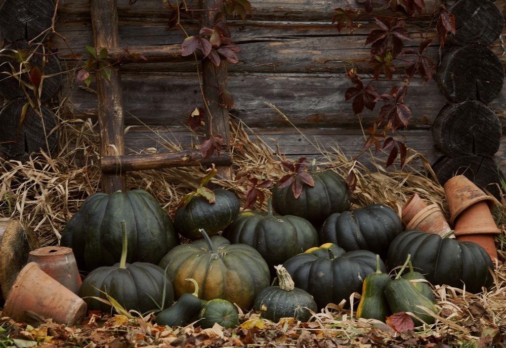 Фотография автора Ольга