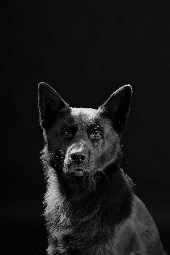 Photograph by César Muñiz