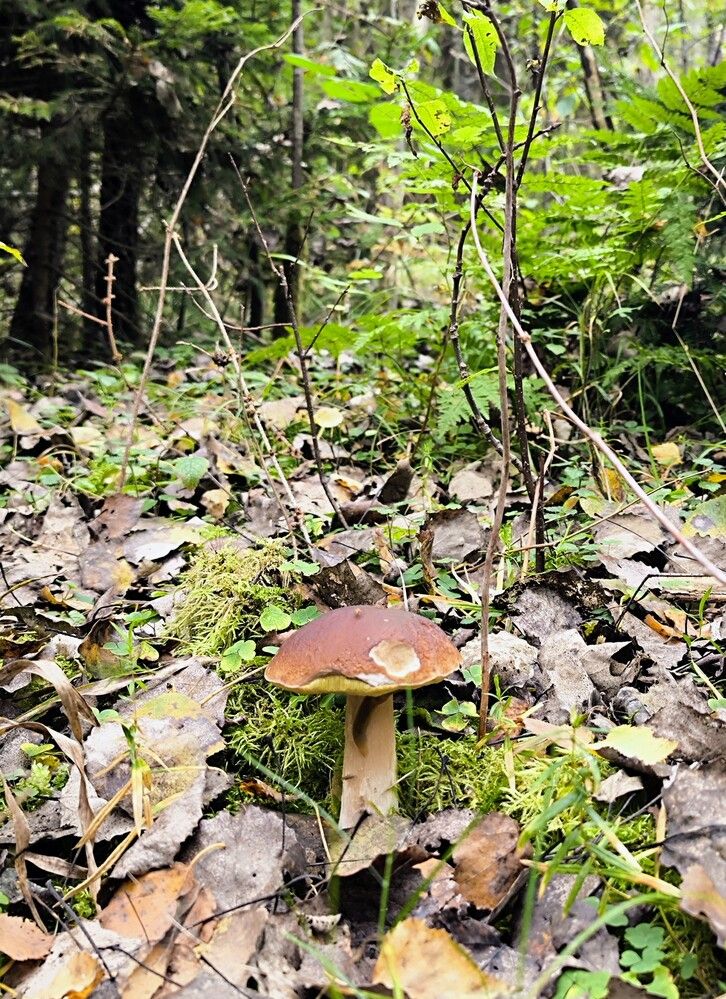 Photograph by Жанна Рутковская