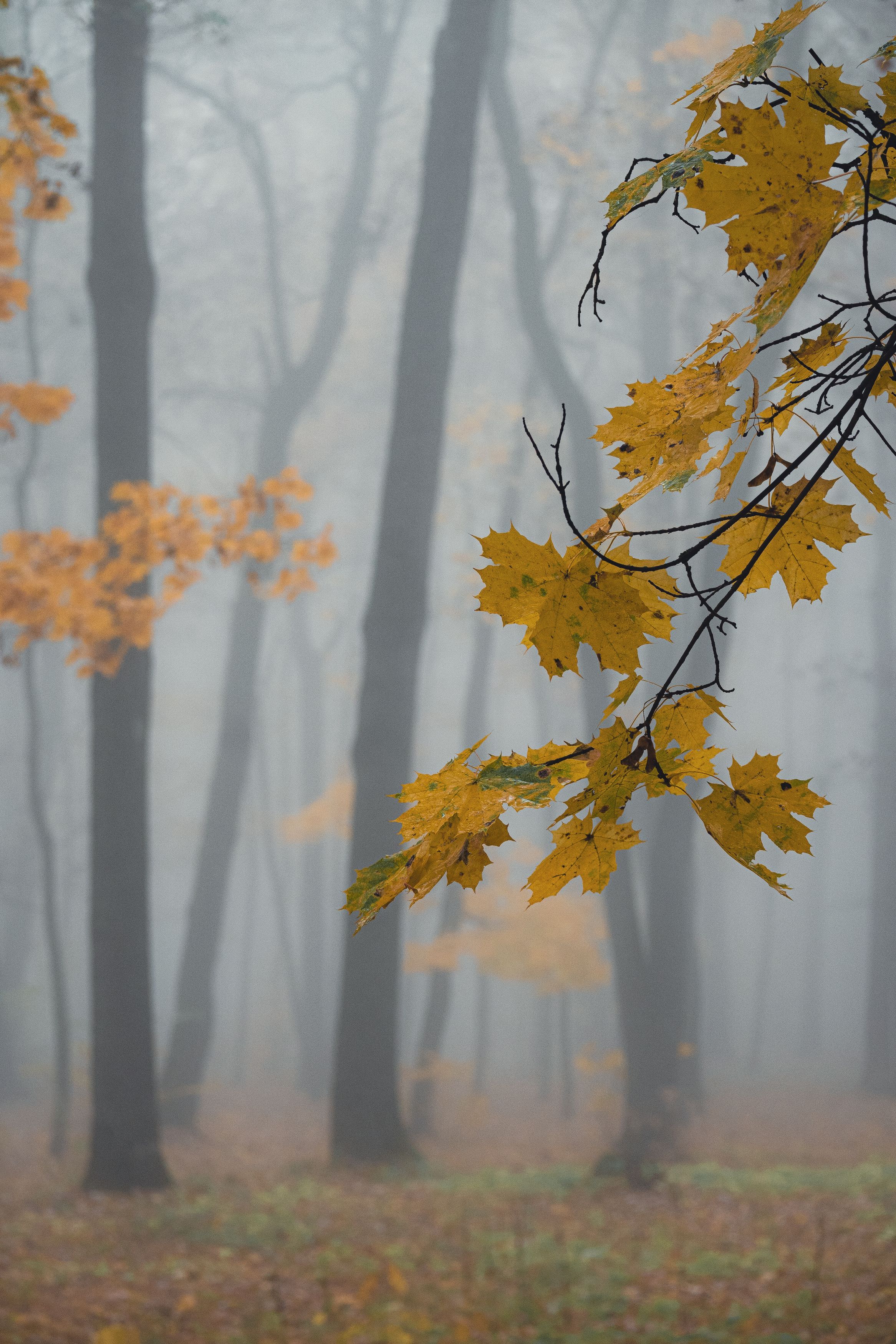 Photograph by Tatiana Shtun