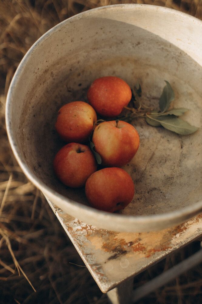 Photograph by Екатерина Маслова