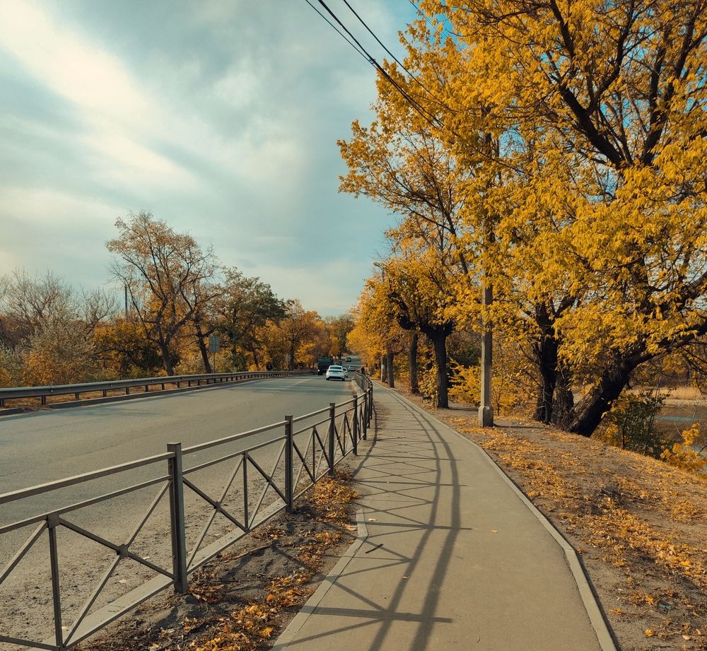 Photo #12685675