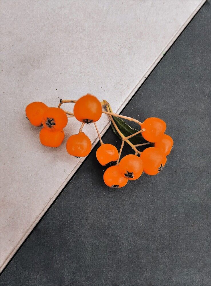 Photograph by Кобелева Евгения