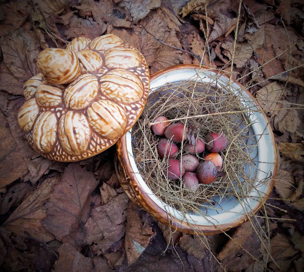 Photograph by Кобелева Евгения